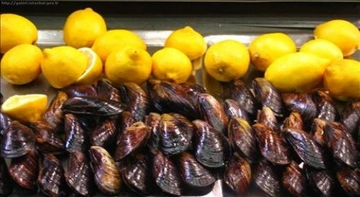 Midye Dolma Zehirlenmesi Belirtileri ve Tedavisi